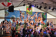 Bild1