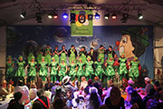 Bild1